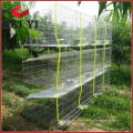 Rabbit Run Cage